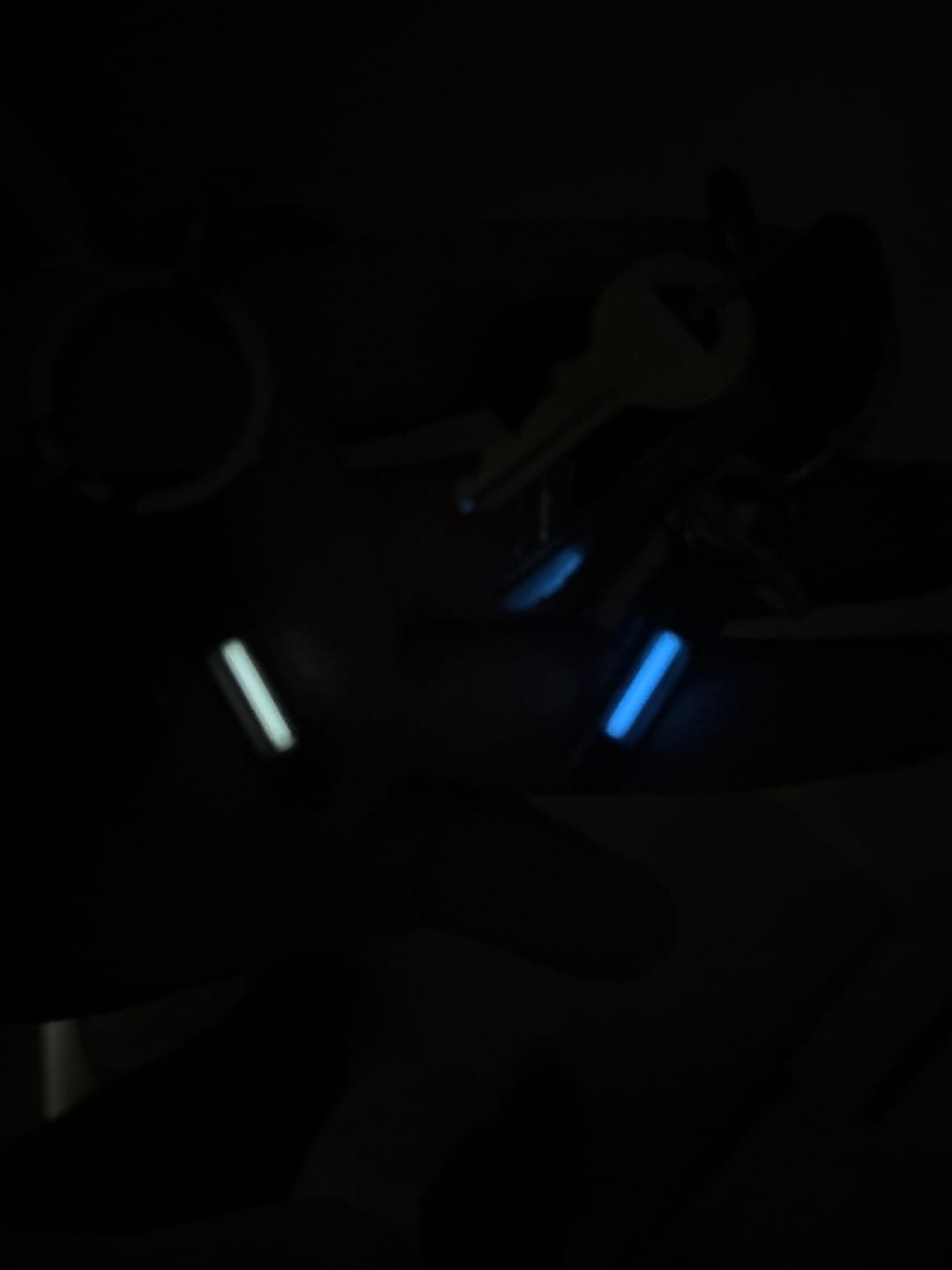 Customer photo review of Tritium Glow Fob