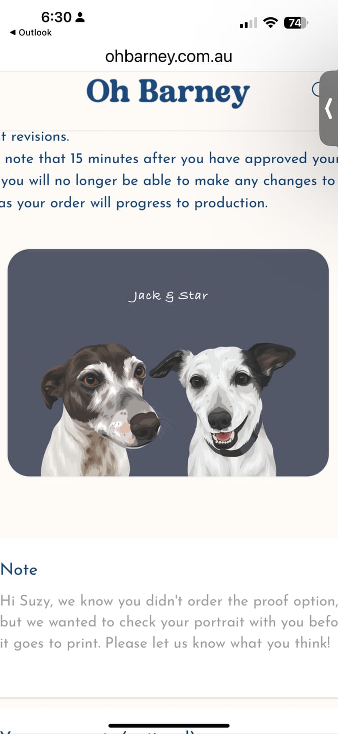Customer photo review of Custom Pet Portrait - Two Pet Portrait