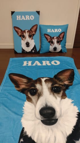 Customer photo review of Petcanva©オーダーメイド ペット似顔絵【3点セット】