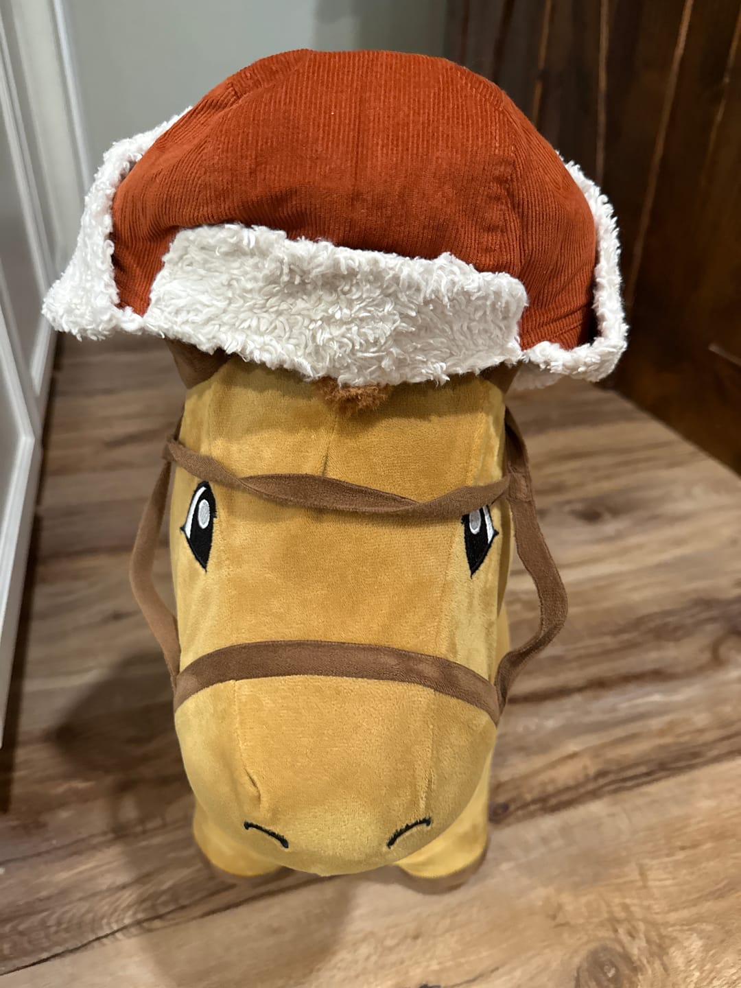 Customer photo review of Ginger Sherpa Fleece Cosy Hat