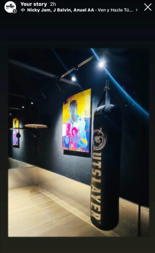 Customer photo review of Ali Canvas Set