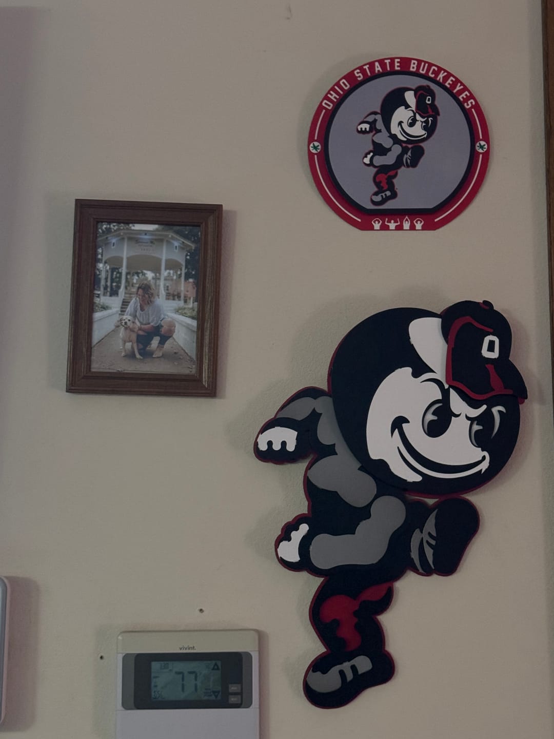 Customer photo review of Ohio State "Brutus" Mascot 3D Vintage Metal Wall Art