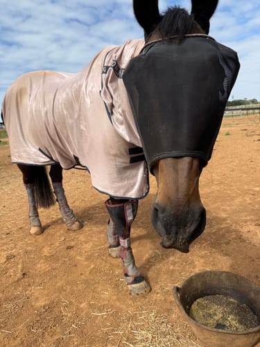 Customer photo review of LE Defender Fly Boots