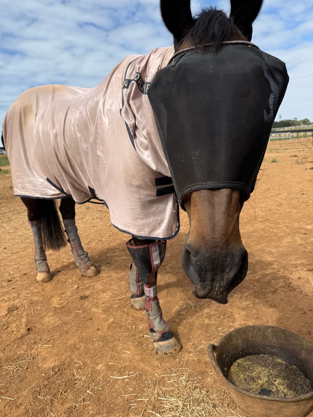 Customer photo review of LE Defender Fly Boots
