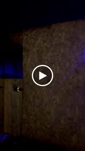 Customer video review of Strotonin Horse Support