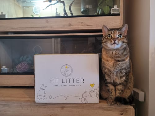 Customer photo review of 1 Month Supply – 2 Cat