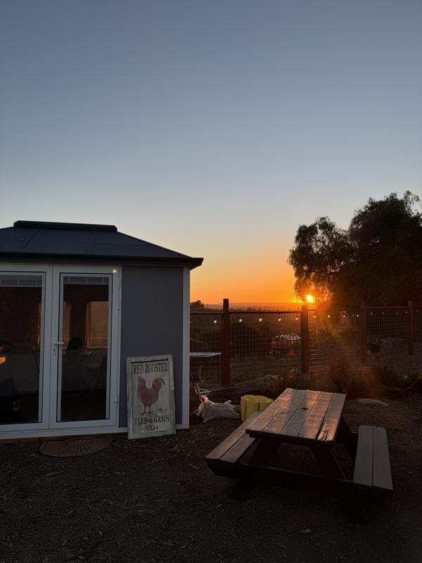 Customer photo review of SUNJOY Outdoor Backyard 10x12.6 Office Shed Kits with Floors, Windows, and Lockable Doors - Gray