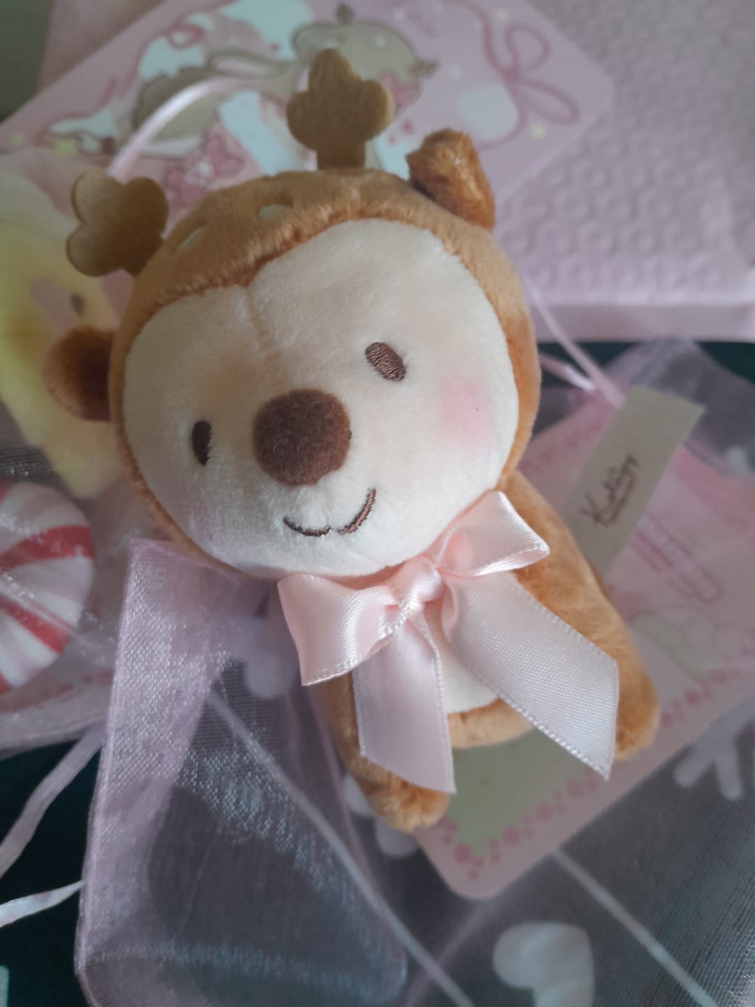 Customer photo review of Cinnamon the Deer Keychain Plush | Kawaii Cottagecore Coquette Plush | Whimsical Pink Bow Deer Plushie | Katnipp Studios