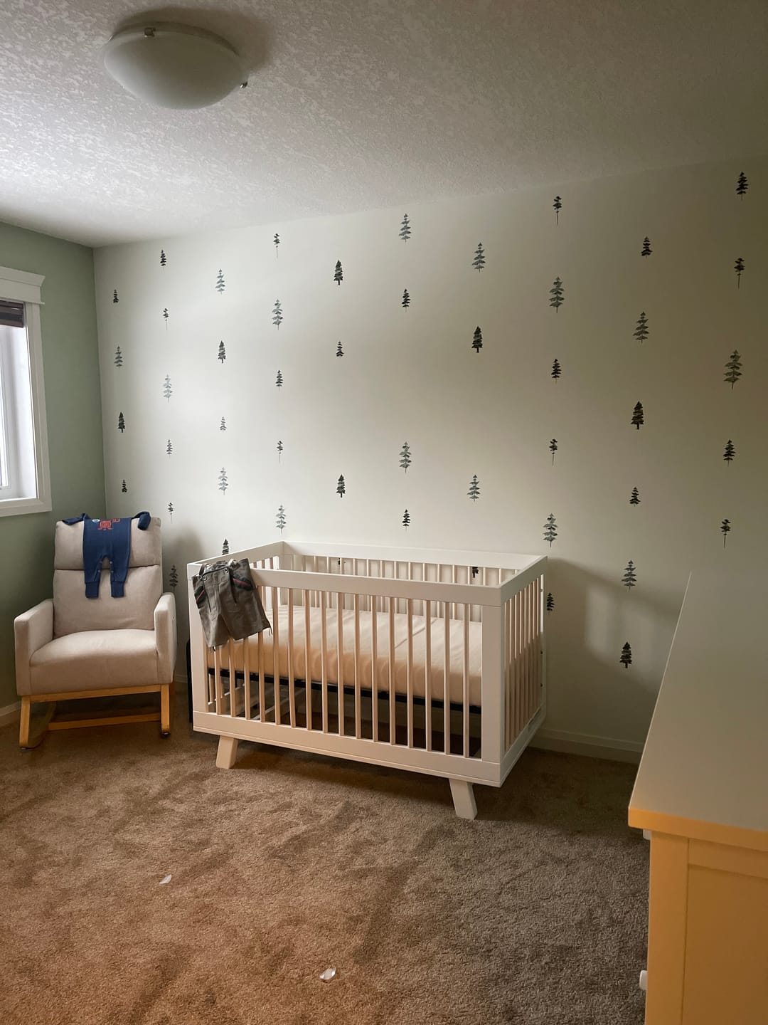 Customer photo review of Watercolor Trees Wall Decals