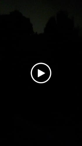 Customer video review of The Assassin