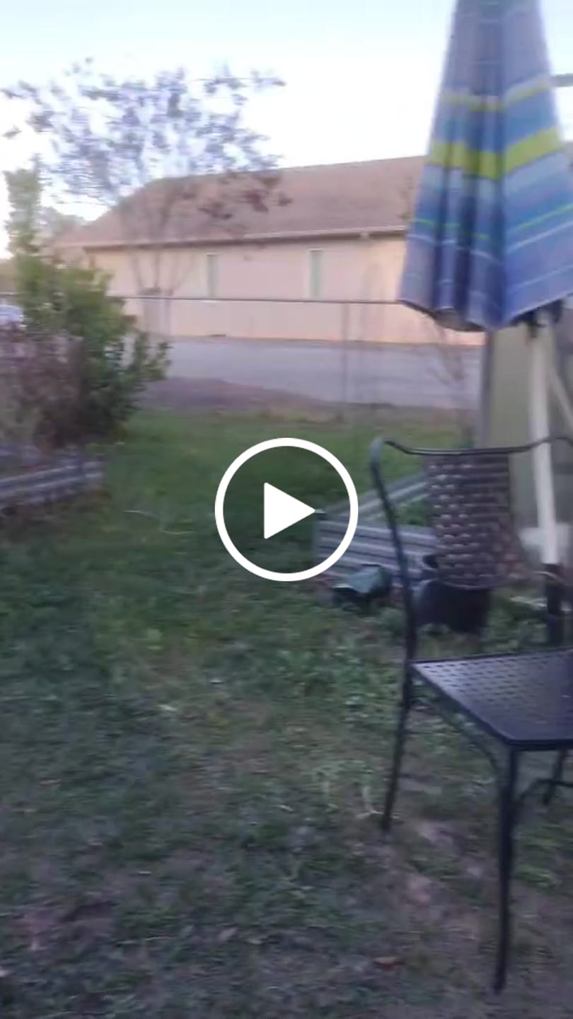 Customer video review of NEW Golden Drops | Senior Dog Formula