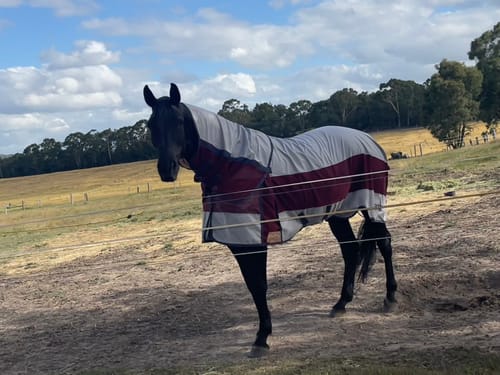 Customer photo review of LE Boxter Hybrid Mack Turnout 0g