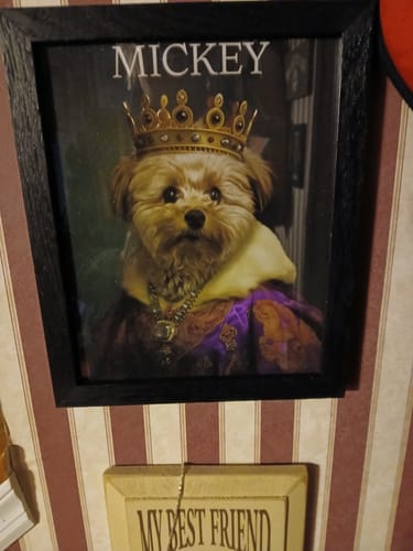Customer photo review of Royal Highness - Custom Pet Portrait