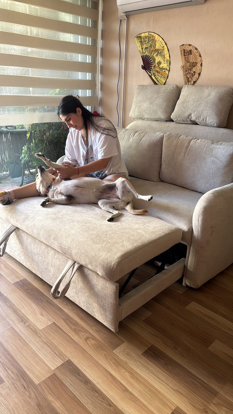Customer photo review of Sofá cama Santorini