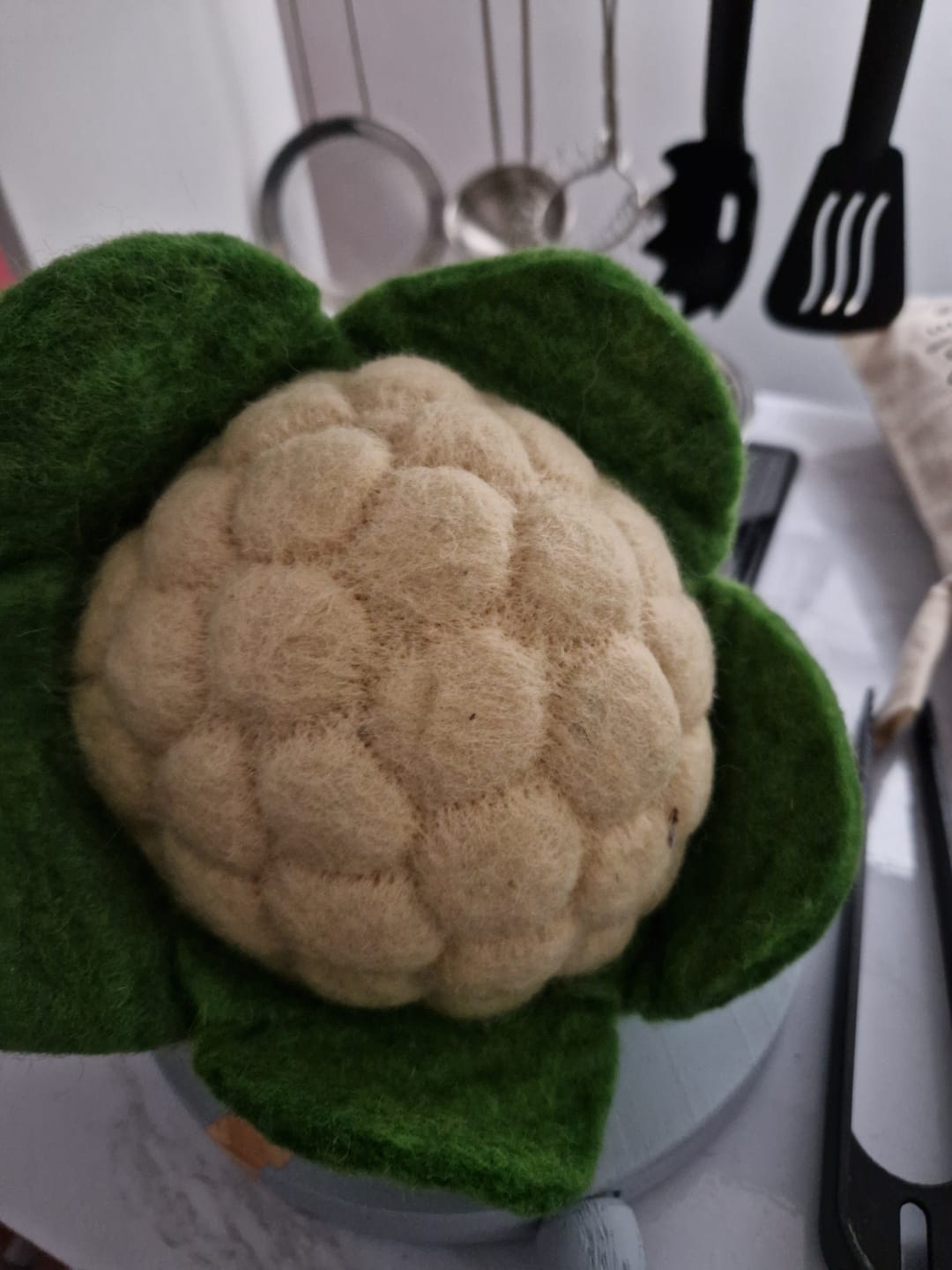 Customer photo review of Felt Vegetables and Fruits - Pick and Choose