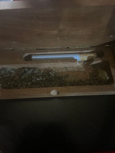 Customer photo review of Crush Diamond Glitter Bomb