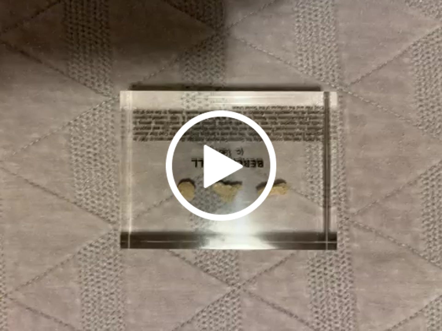 Customer video review of Berlin Wall Artifact Display