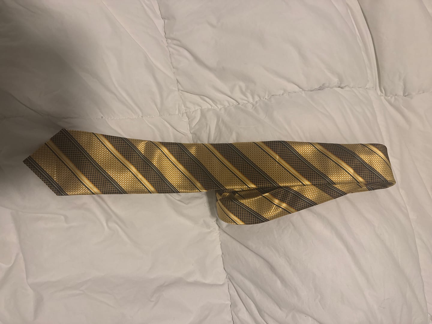 Customer photo review of Golden Python Tie, Pocket Square and Cufflinks