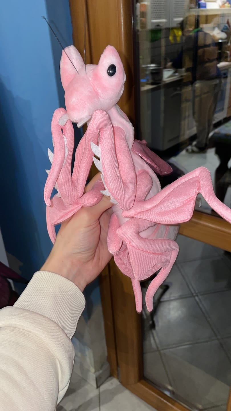 Customer photo review of Pink Orchid Mantis Soft Stuffed Plush Toy