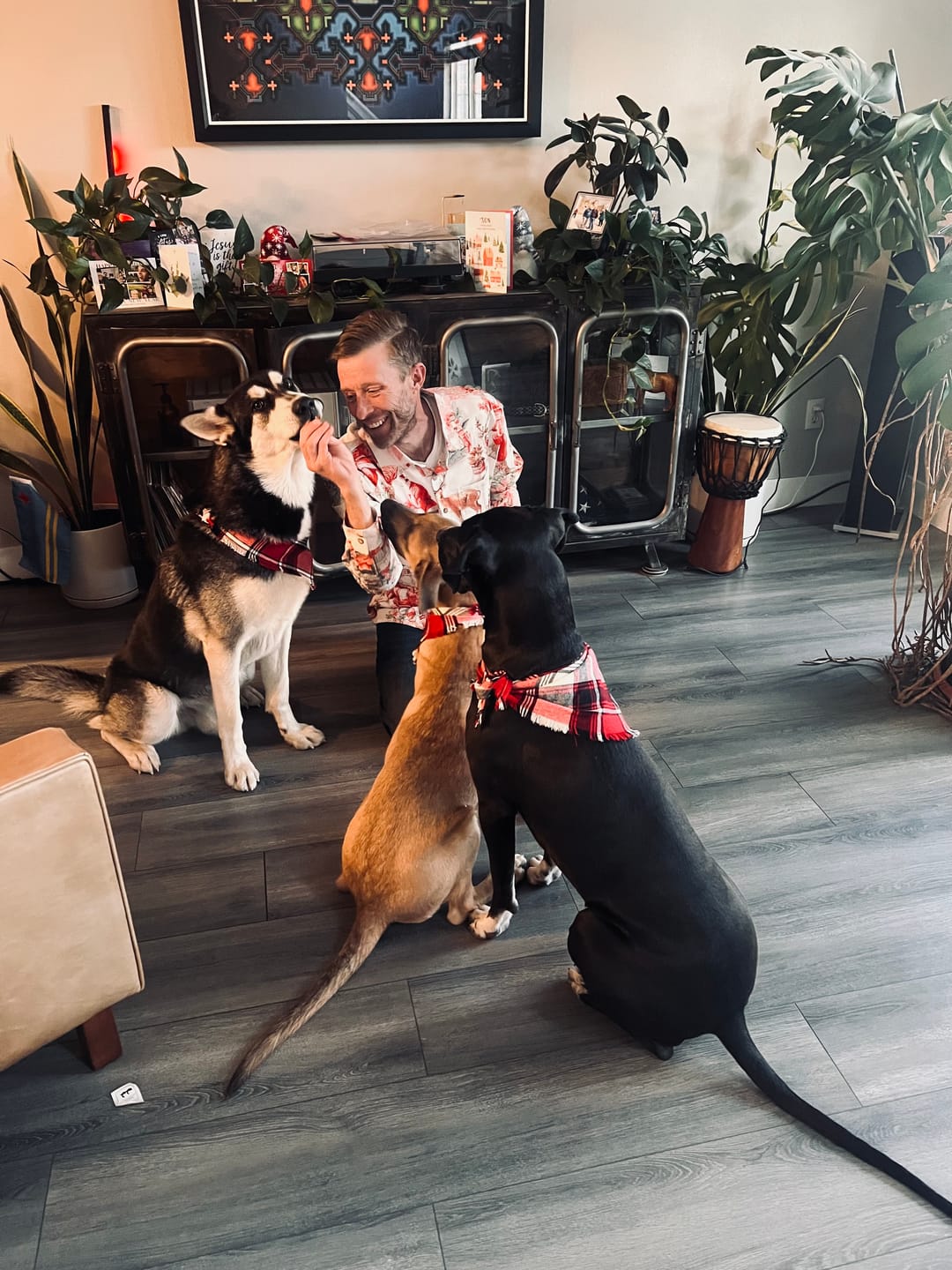 Customer photo review of Reindeer Christmas Long Sleeve Shirts
