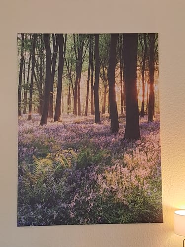 Customer photo review of Leinwandbild | Blühender Wald bei Sonnenaufgang | Hochformat