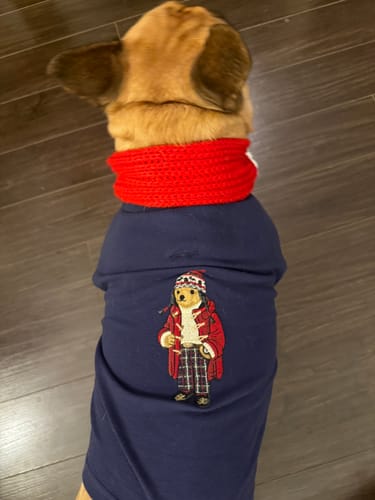Customer photo review of Polo Ralph Lauren Holiday Bear Dog Mesh Polo
