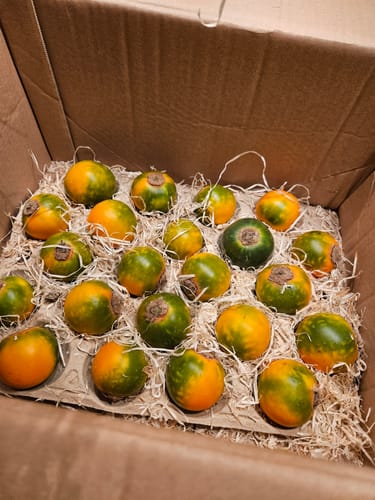 Ein Kunde zeigt eine Kiste mit frisch gelieferten, grün-orangen Lulo-Früchten.