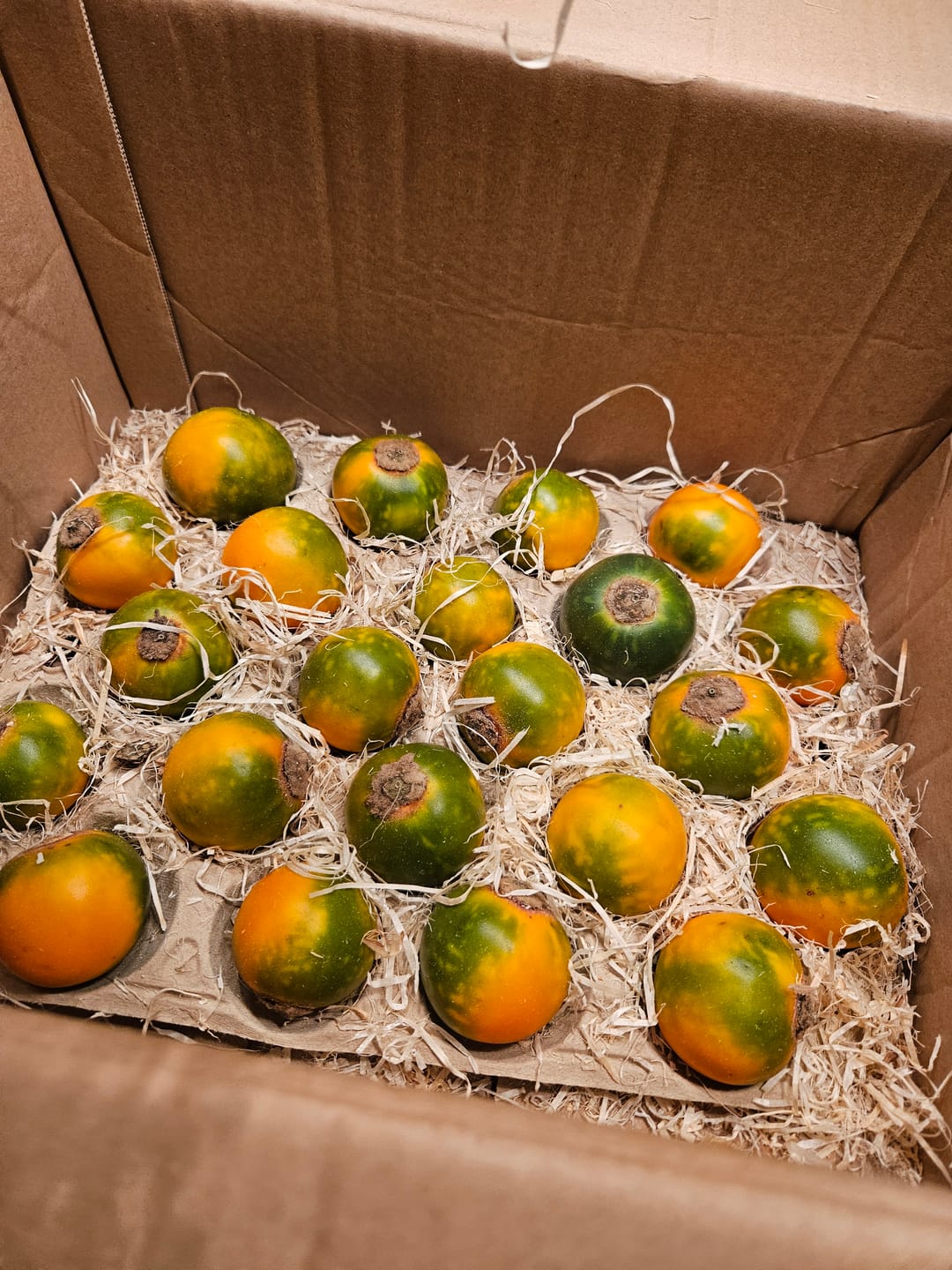 Customer photo review of Lulo (Naranjilla)