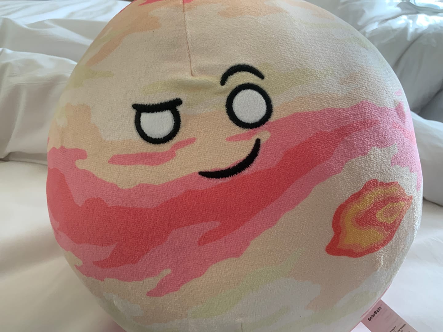 Customer photo review of The SolarBalls Jupiter Plush