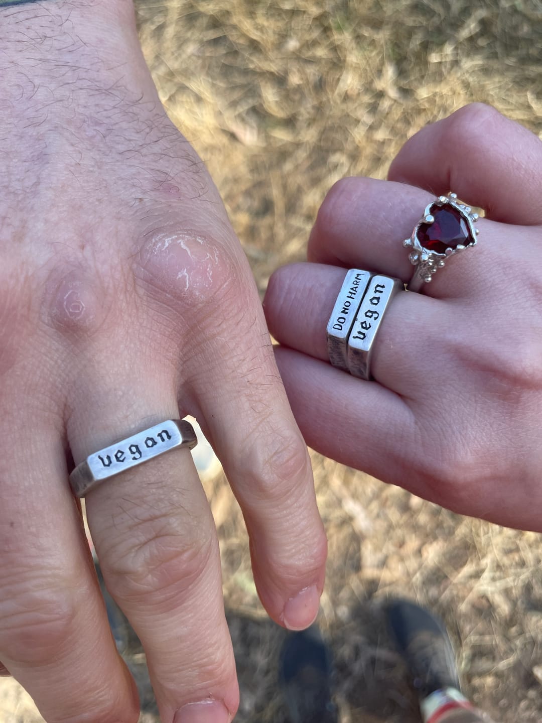 Customer photo review of Do No Harm | Silver