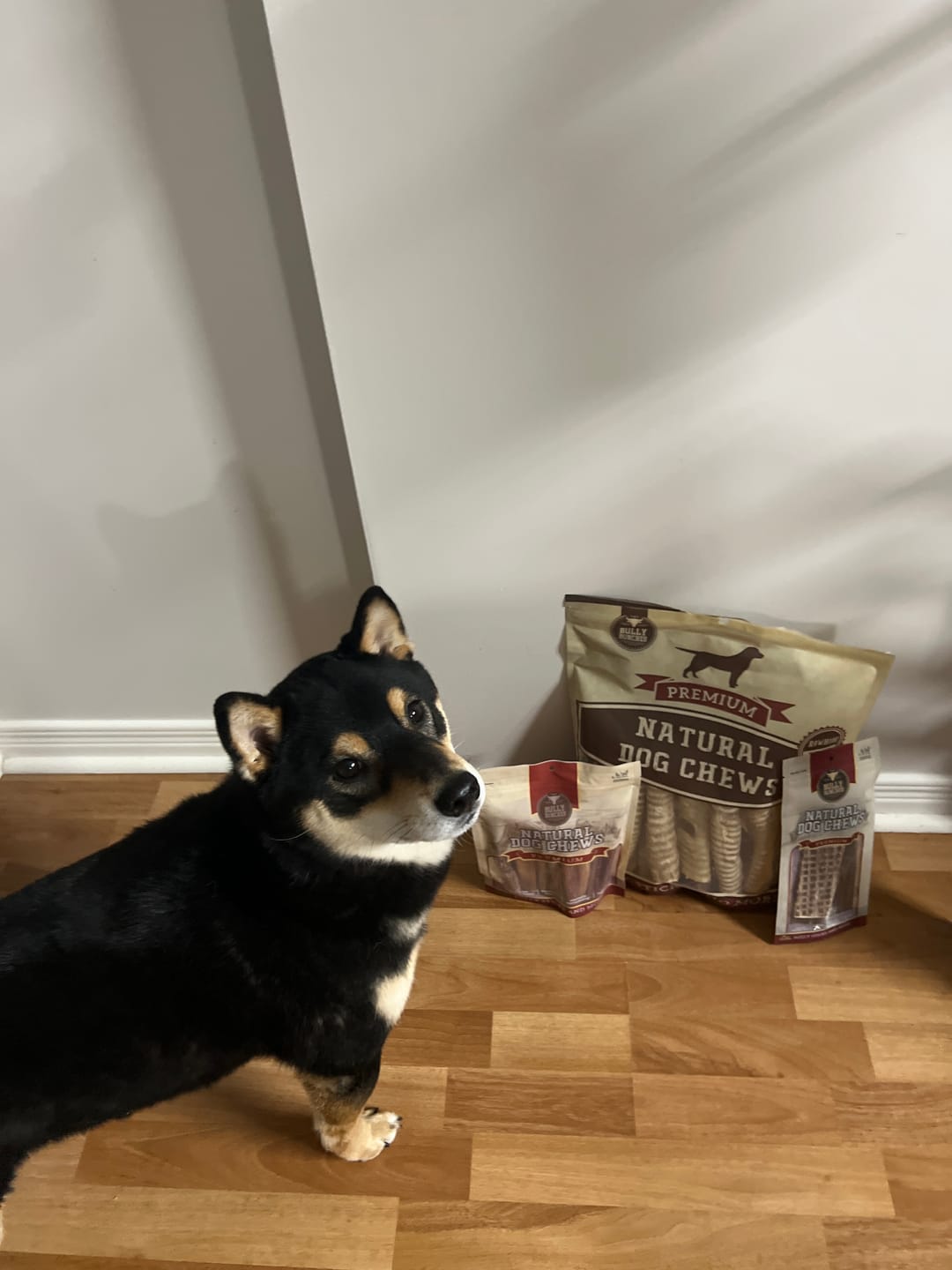 Customer photo review of 6 Inch Beef Trachea