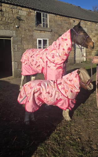 Customer photo review of NEW Country Star Turnout Rug
