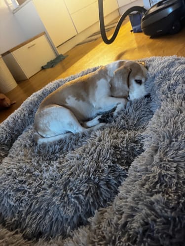 Customer photo review of CalmBed - Motverkar stress & hjälper mot ångest