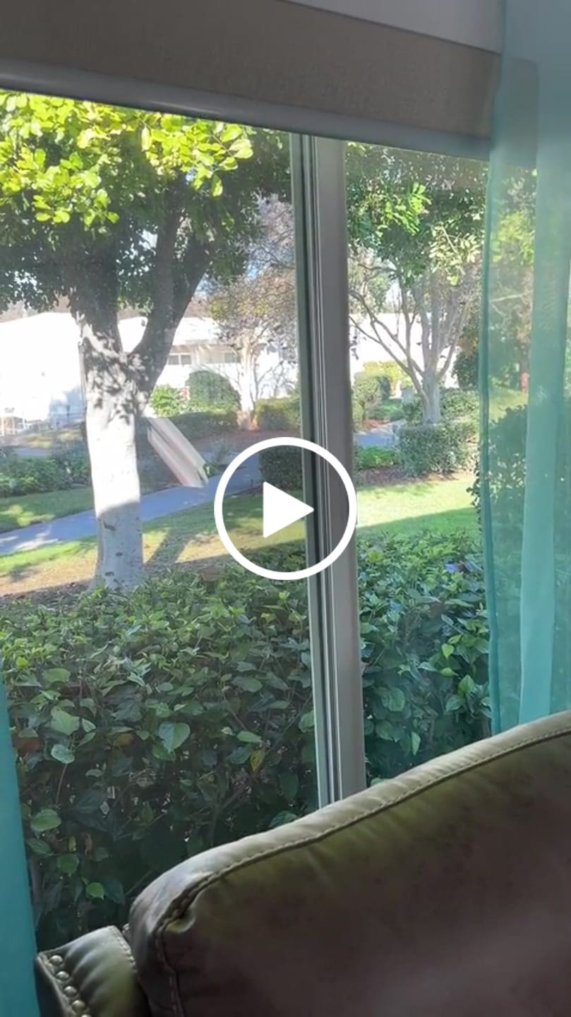 Customer video review of Bringnox Motorized Roller Shades 100% Blackout Safari