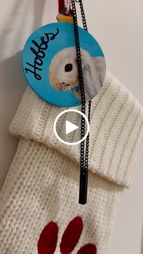 Customer video review of Matte Rectangle Bar Urn Pendant