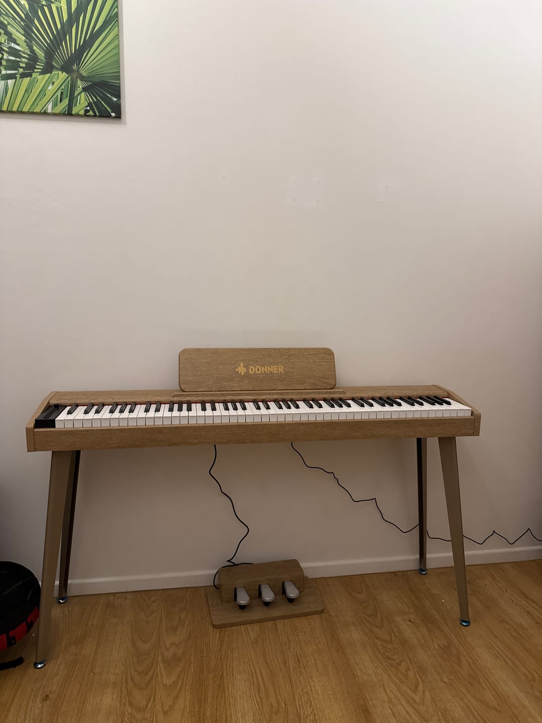 Customer photo review of Donner DDP-60 Semi-lesté Piano Numérique