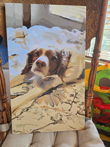 Customer's completed custom paint by numbers artwork of a brown and white dog resting on a chair.