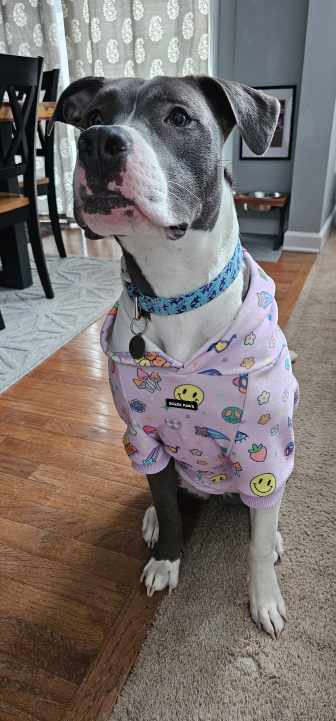 Customer photo review of Playful Pawz (Adult Hoodie)