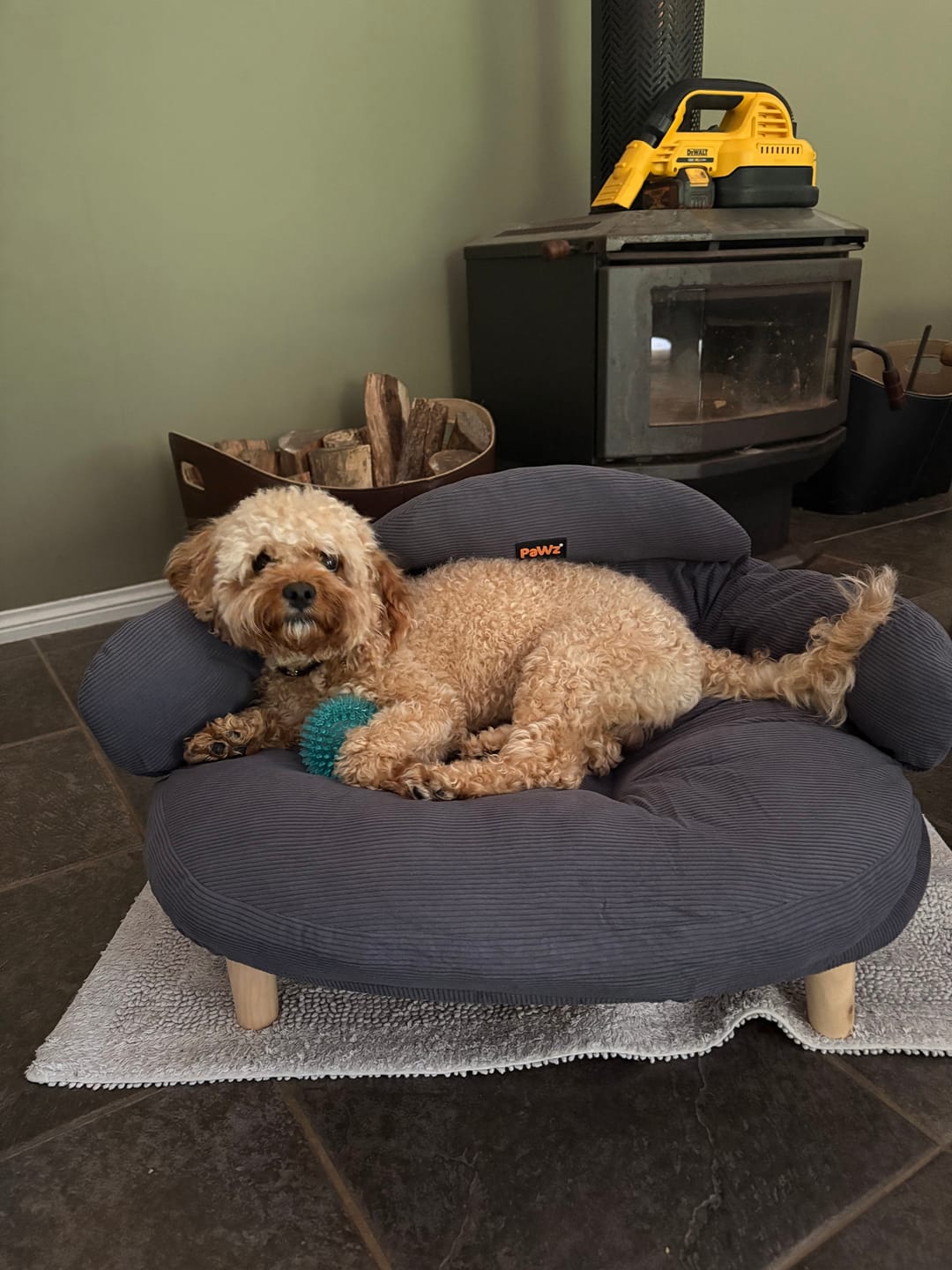 Customer photo review of CloudNest Elevated Pet Sofa Bed