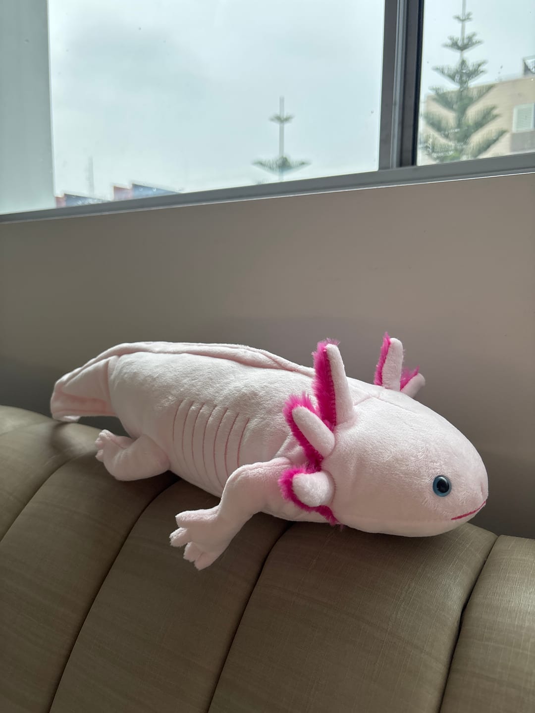 Customer photo review of Pink Axolotl Soft Stuffed Plush Toy