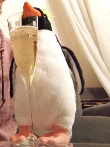 Customer photo review of Lifelike Fiordland Penguin Plush Toy – Soft & Cuddly
