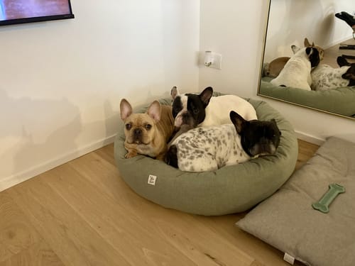 Customer photo review of Cuccia Tonda Mattias Verde (Soft Touch)