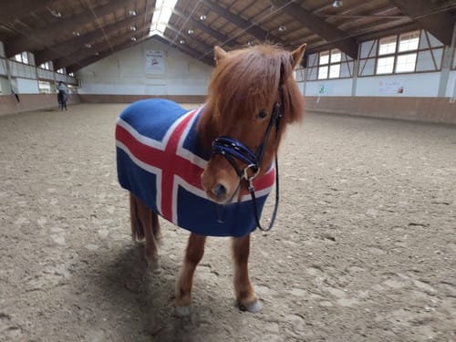 Customer photo review of Trense Blue Cloud