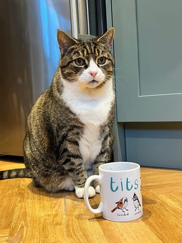 Customer photo review of Tits Ceramic Bird Mug