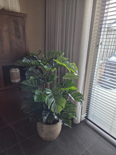 Customer photo review of Monstera Kunstplant 120cm