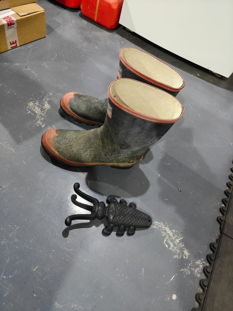 Customer photo review of Roma Beetle Boot Jack