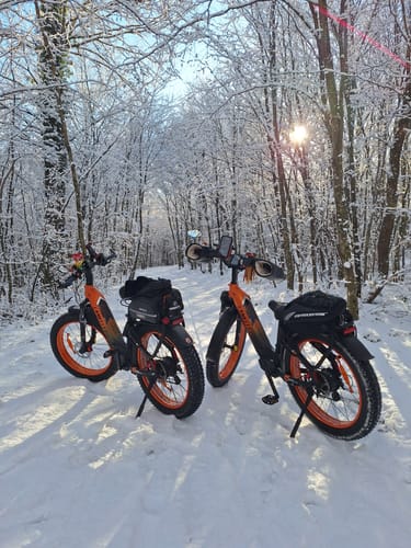 Customer photo review of Lankeleisi MG600 Plus 2025 Version 26" Fat Bike 960Wh All Terrain SUV E-Bike with Torque Sensor 48V 20Ah Battery  [Pre-order]