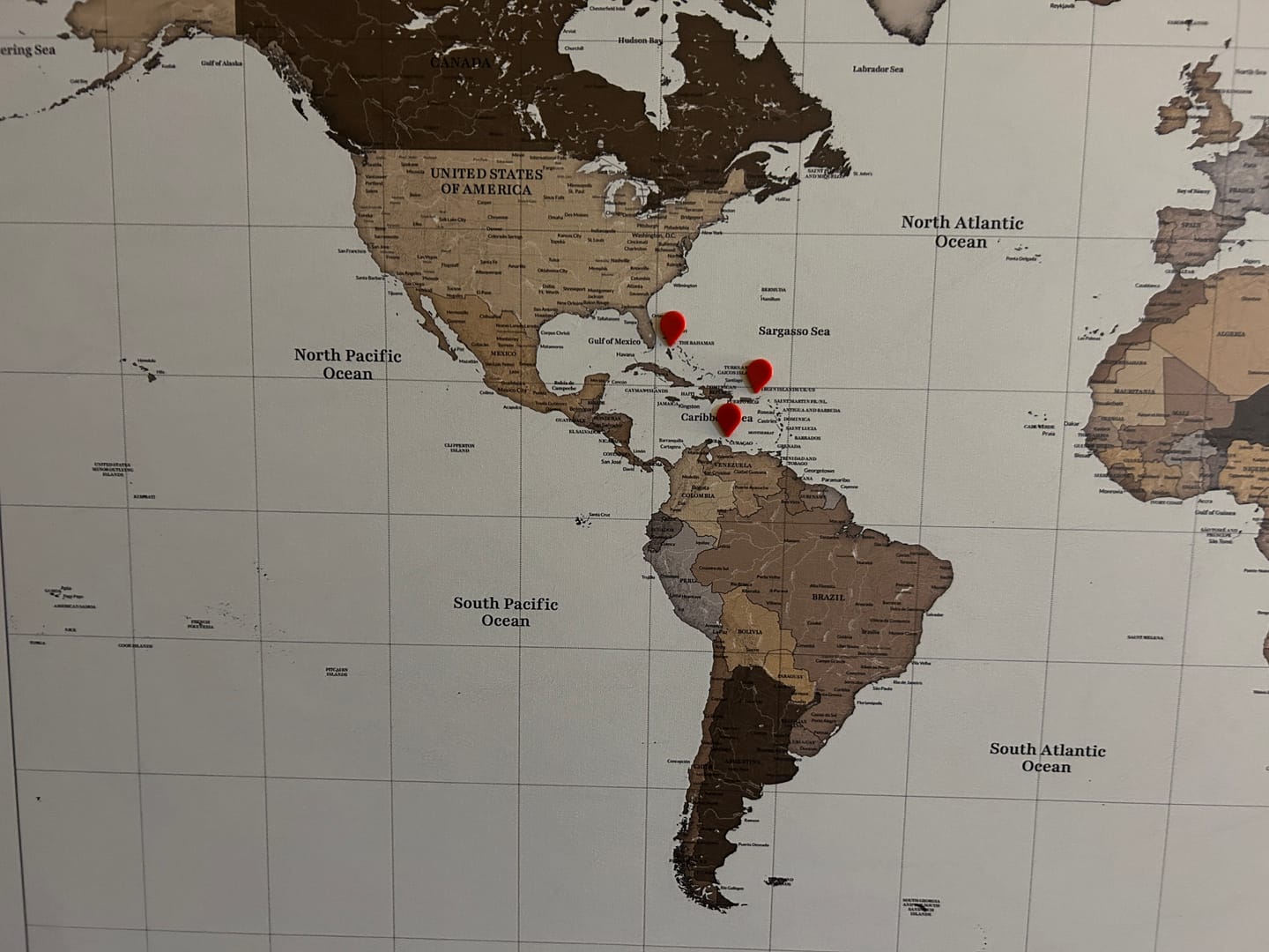 Customer photo review of Smart Pin World Map - Safari