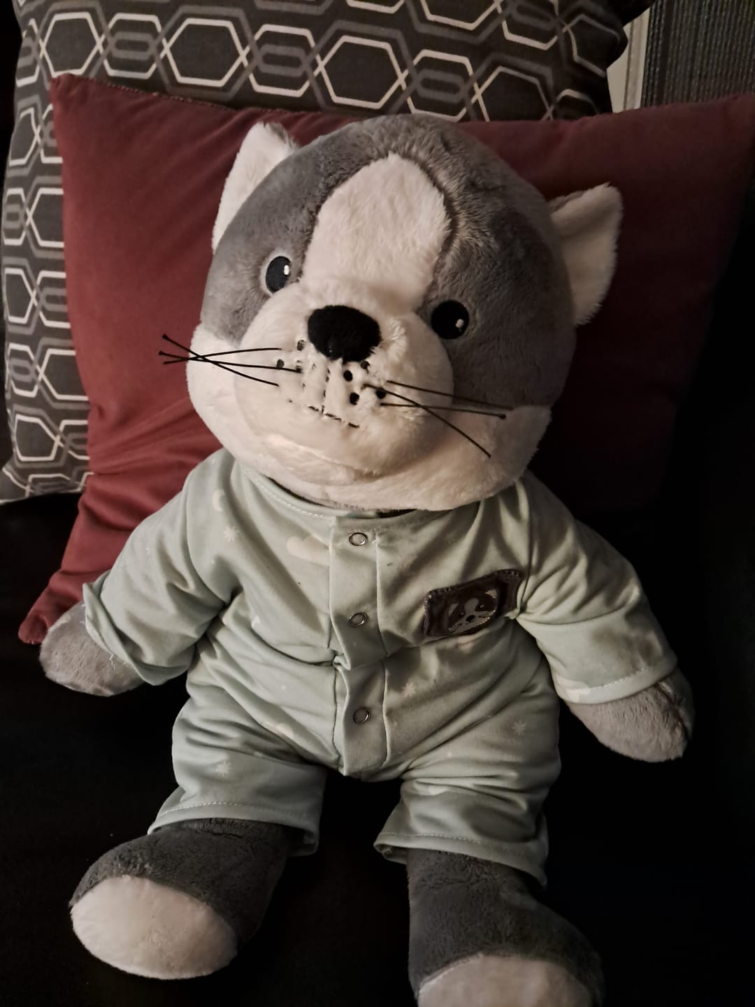 Customer photo review of Lotgenootje Kat 2kg