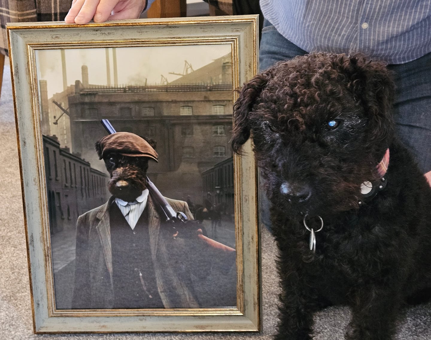 Customer photo review of The Thug (Peaky Blinders Inspired): Custom Pet Portrait
